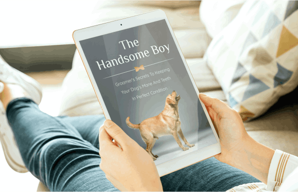 UltraK9 Pro Website Builder